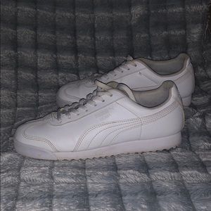White Pumas